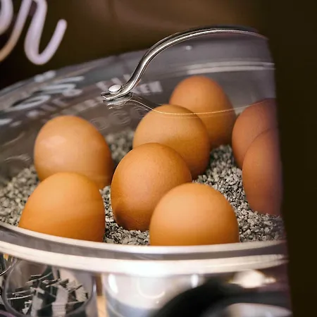 Gotha-hbf Hotel Gotha